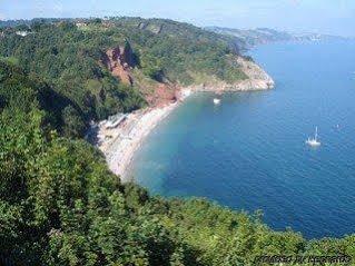 Hotel Aveland House Babbacombe Torquay Zewnętrze zdjęcie